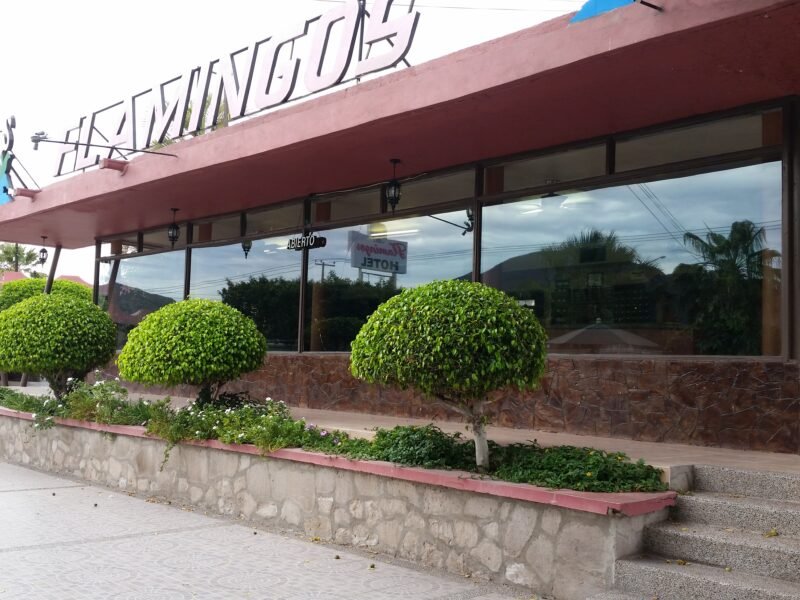 Hotel Flamingos