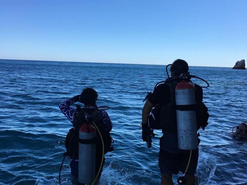 Pro Divers San Carlos