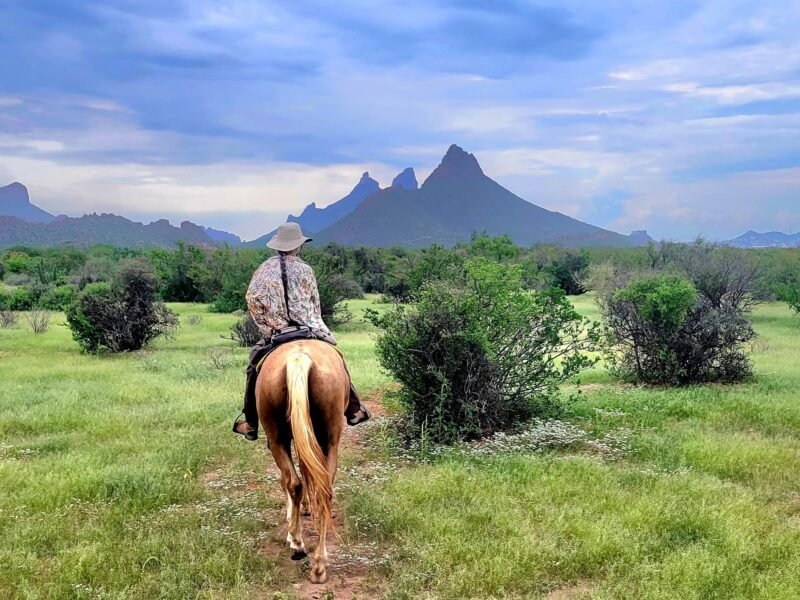 El Rancho del Desierto (Astrid Ranch)