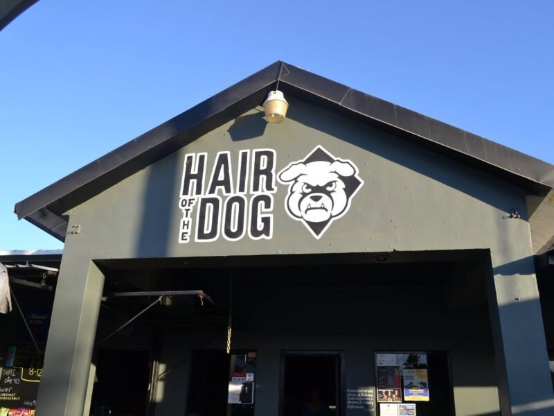 Hair Of The Dog